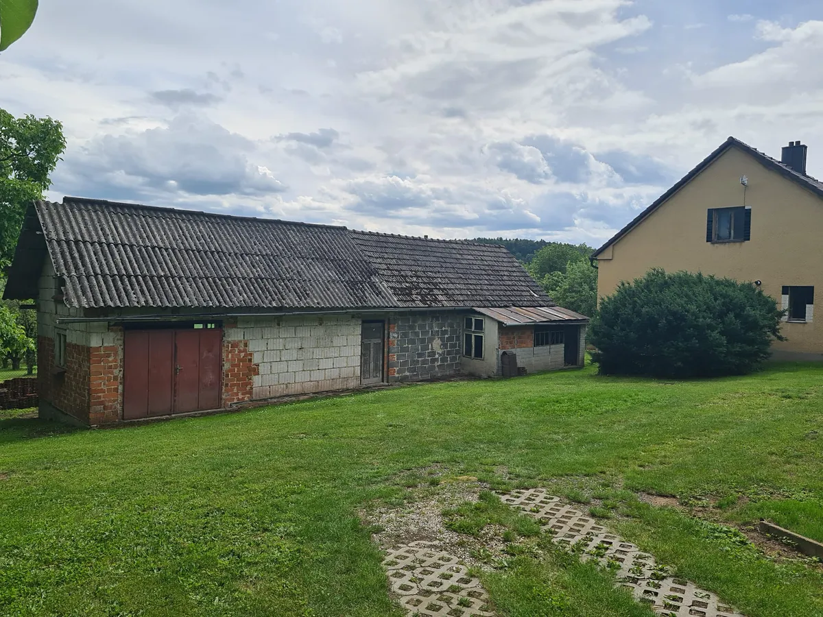 Fotka 19 z 26